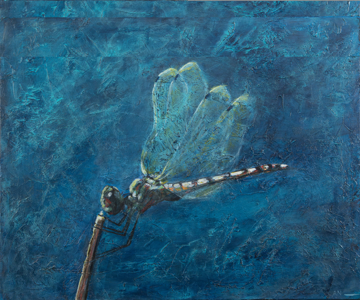 Dragonfly