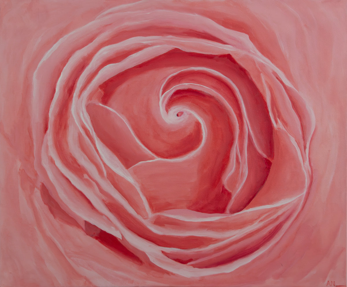 Pink Rose