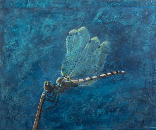 Dragonfly
