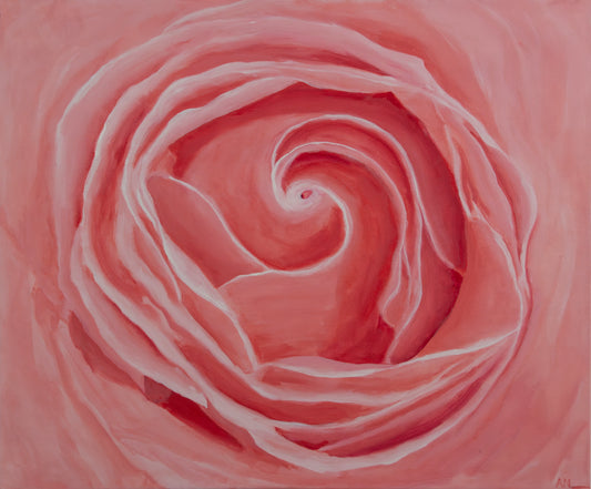 Pink Rose