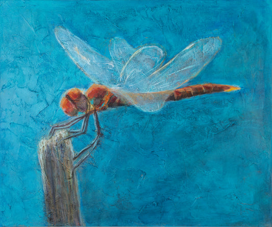 Dragonfly Vibes