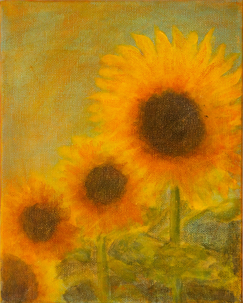 Sunflower Daydream