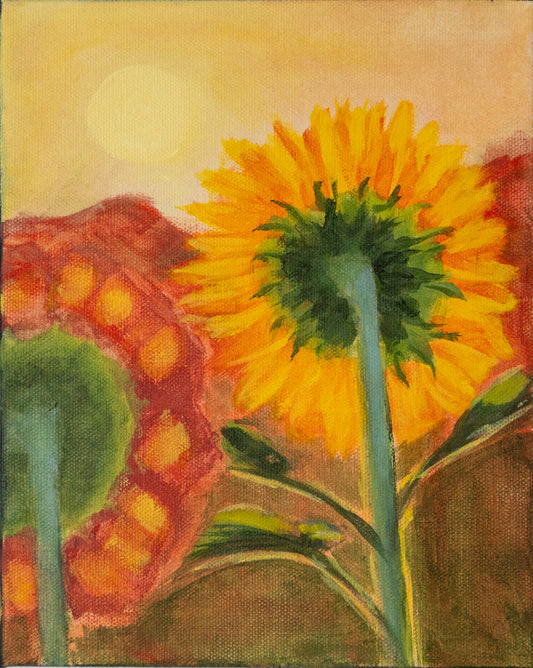 Sun Seekers