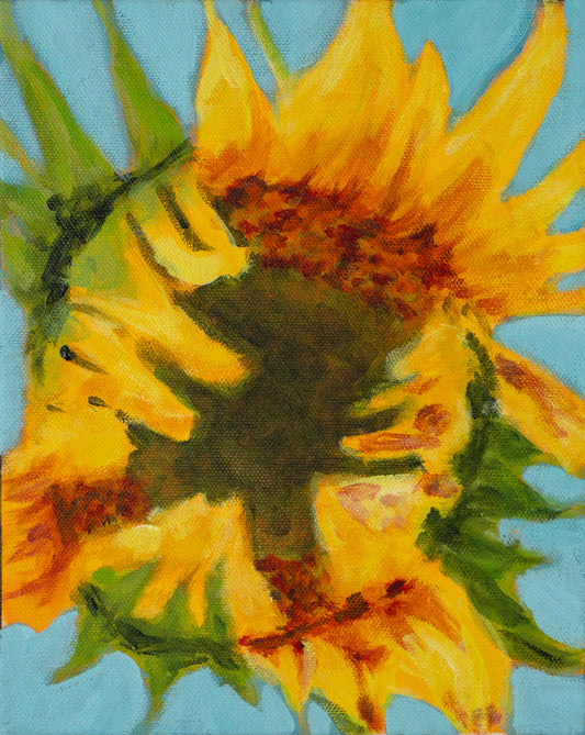 Unfolding Light